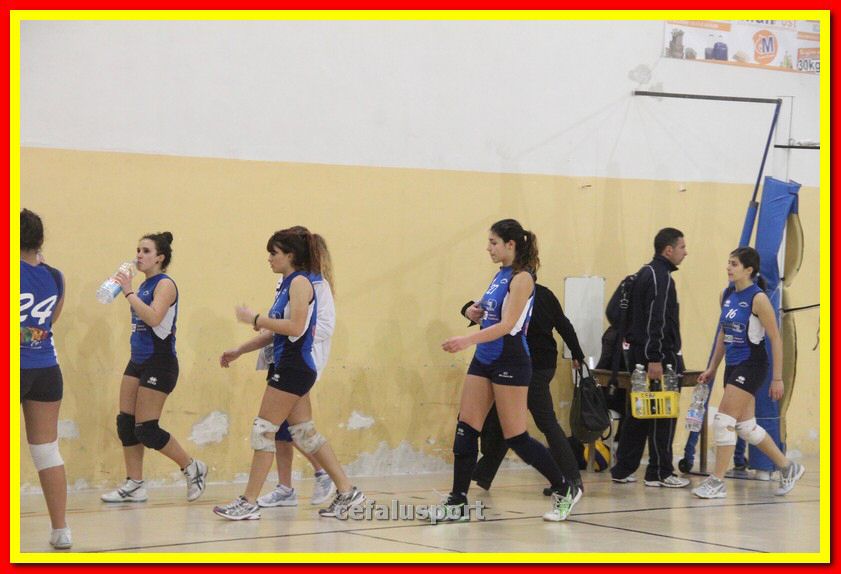 140305 Primula 133_tn.jpg